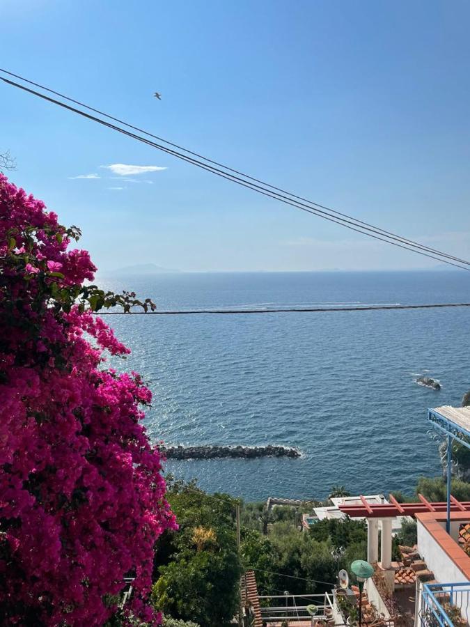 Villa La Rosa Dei Venti Massa Lubrense Exterior foto