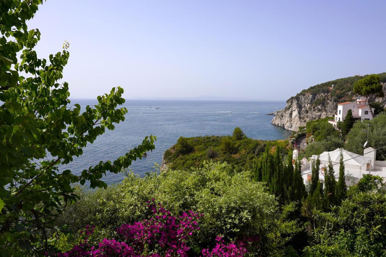 Villa La Rosa Dei Venti Massa Lubrense Exterior foto